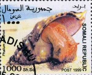 Stamp, Phalium saburon, Cinderellas,  , Animals (Fauna), Shells