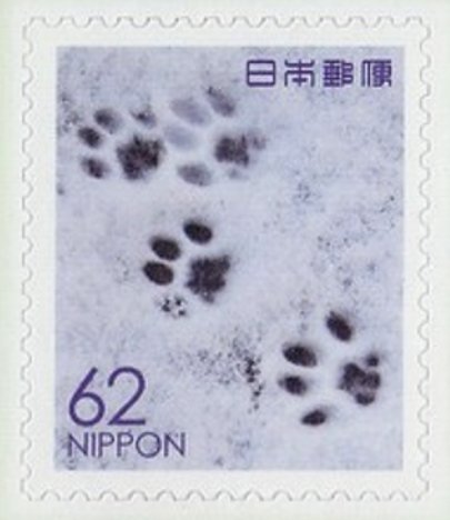Prints of a cat's paw