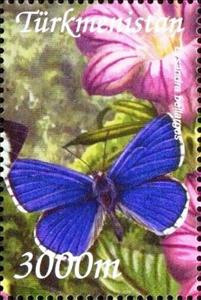 Stamp, Lysandra bellargus, Turkmenistan,  , Animals (Fauna), Butterflies, Insects