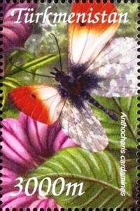 Stamp, Anthocharis cardamines, Turkmenistan,  , Animals (Fauna), Butterflies, Insects