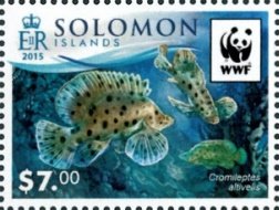 Stamp, Humpback grouper (Cromileptes altivelis), Solomon Islands,  , Animals (Fauna), Fishes, WWF