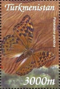 Pandoriana pandora