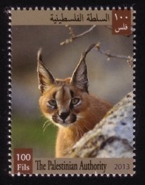 Flora and Fauna of Palestine