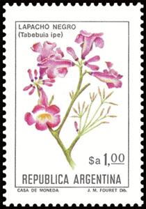 Stamp, Lapacho Negro (Tabebuia impetiginosa), Argentina,  , Flowers, Plants (Flora)