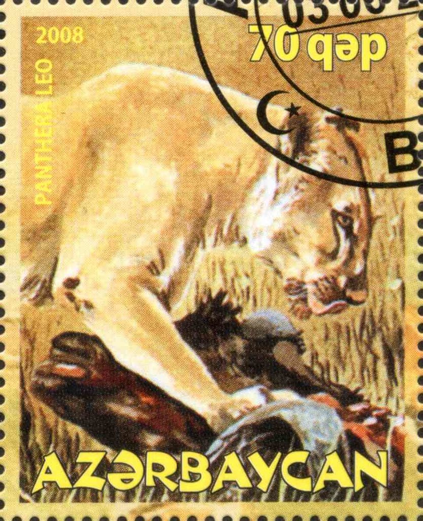 Panthera Leo