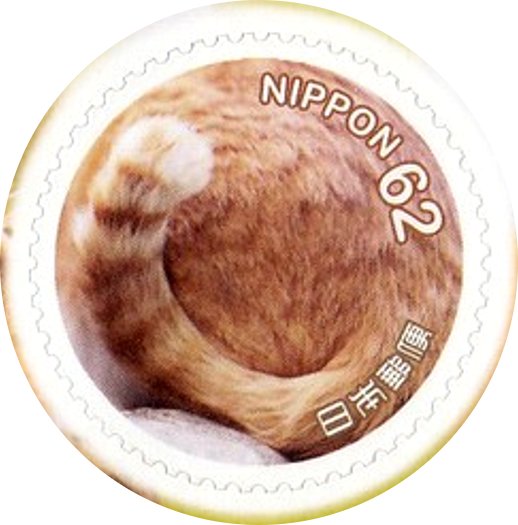 Domestic cat