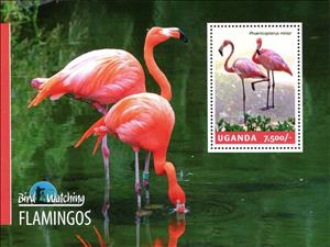 Souvenir Sheet, Flamingos, Uganda,  , Animals (Fauna), Birds, Flamingos