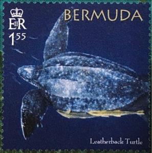 Stamp, 50th Anniversary of the Bermuda Turtle Project, Bermuda,  , Animals (Fauna), Reptiles, Sea Life, Turtles
