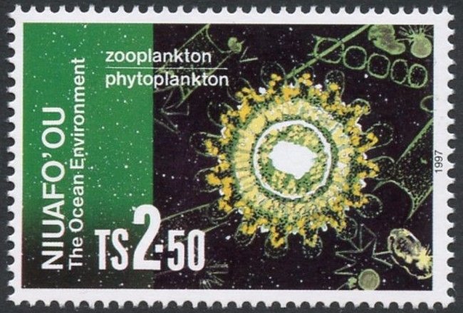 Zooplankton & phytoplankton