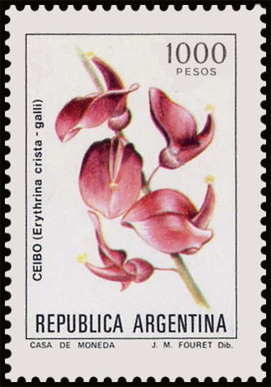 Ceibo (Erythrina crista-galli)