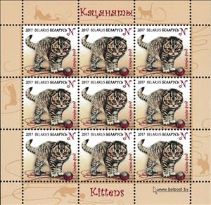 Mini Sheet, Scottish Fold, Belarus,  , Animals (Fauna), Cats, Mammals