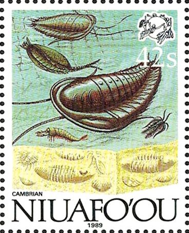 Cambrian