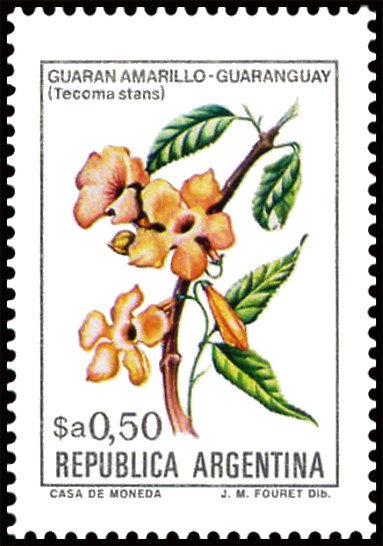 Guaran amarillo (Tecoma stans)