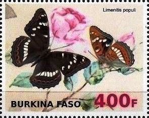 Stamp, Limenitis populi, Cinderellas,  , Animals (Fauna), Butterflies, Insects