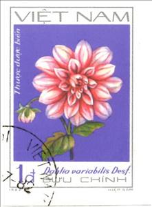 Stamp, Green dahlias (Dahlia variabilis Desf.), Vietnam,  , Flowers