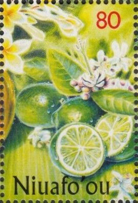 Limes (Citrus aurantiifolia)