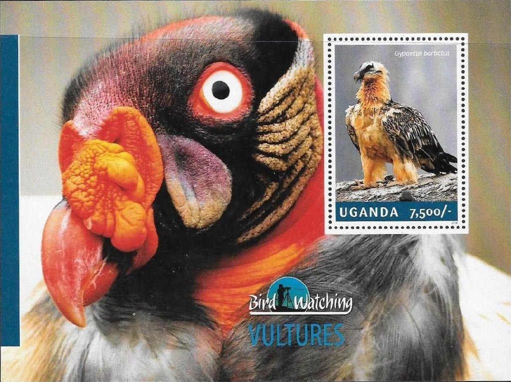 Vultures
