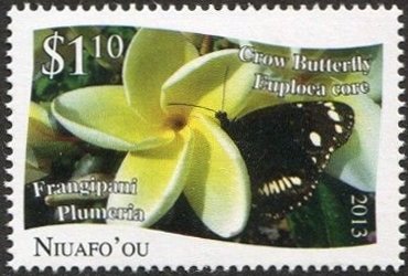 Stamp, Euploea core, Niuafo'ou,  , Animals (Fauna), Butterflies, Insects