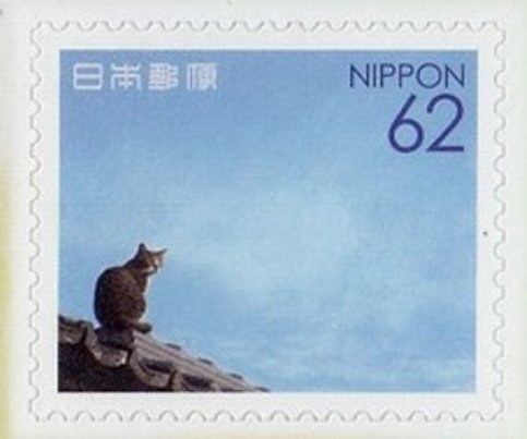 Domestic cat