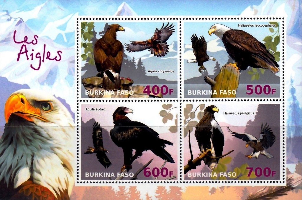 Eagles