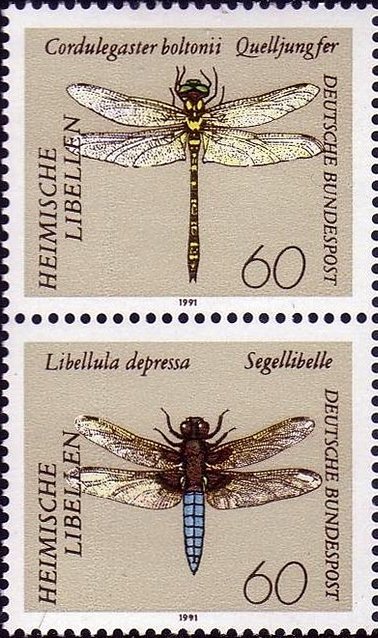 Dragonflies