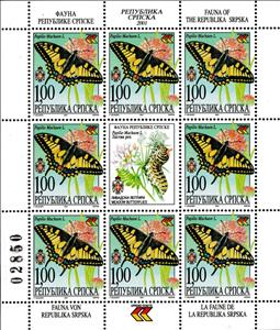 Mini Sheet, Swallowtail (Papilio machaon), Bosnia and Herzegovina, Serbian Administration,  , Animals (Fauna), Butterflies, Insects