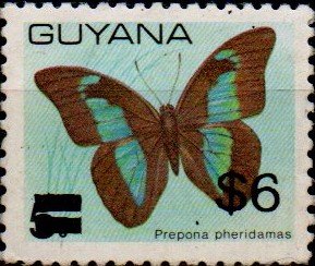 $5 on 5c Prepona pheridamas with obliterating bars
