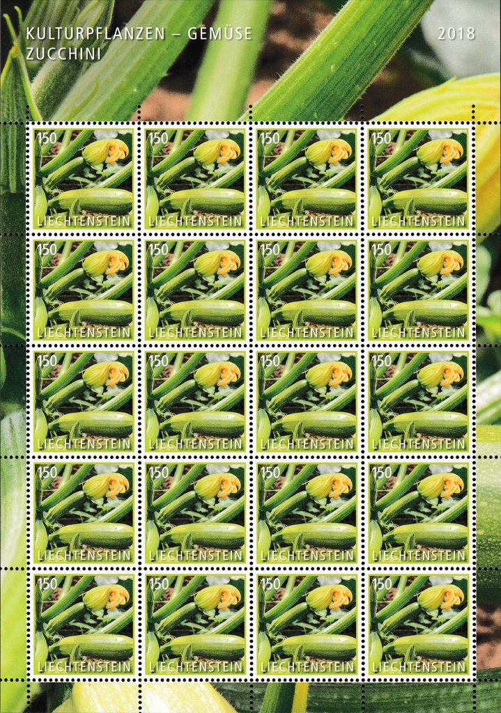 Zucchini