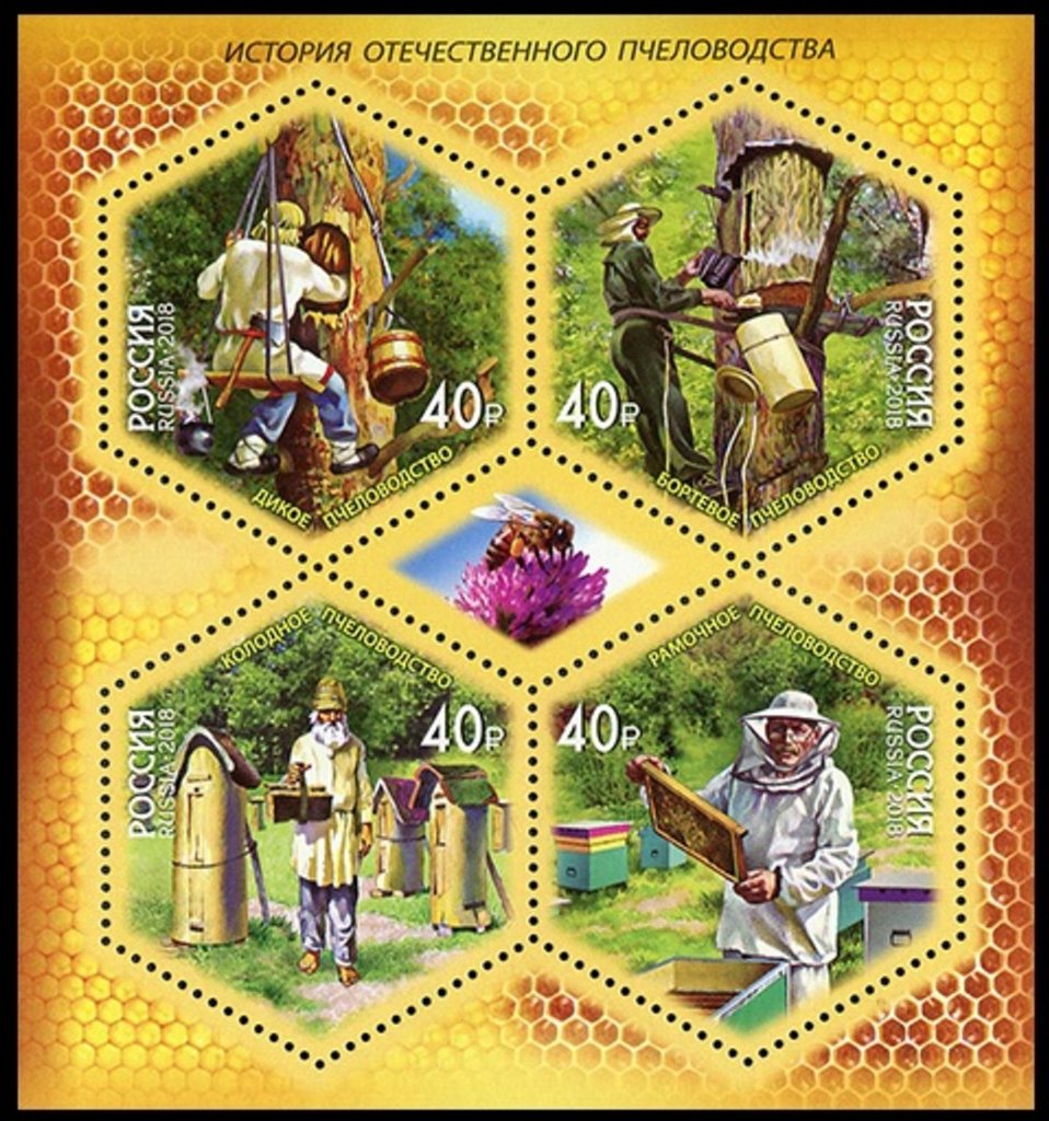 Beekeeping Industry In Russia