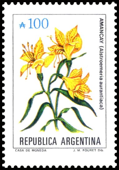 Amancay (Alstroemeria aurantiaca)