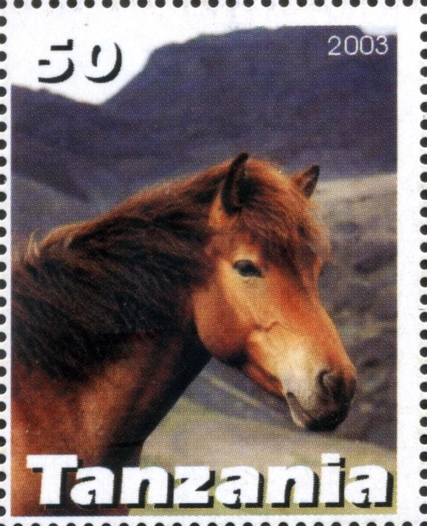 Horse