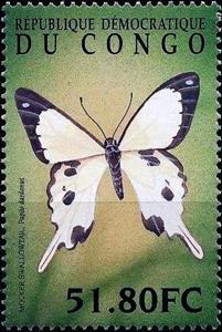 Stamp, Papilio dardanus, Cinderellas,  , Animals (Fauna), Butterflies, Insects
