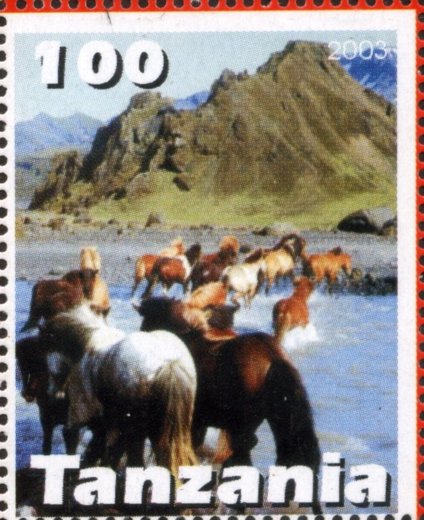 Horses
