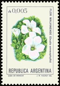 Stamp, Flor Malvinense (Oxalis ennea phylla), Argentina,  , Flowers, Plants (Flora)