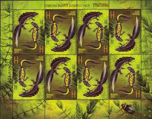 Mini Sheet, Great Crested Newt (Triturus cristatus), Belarus,  , Amphibians, Animals (Fauna), Joint Issues