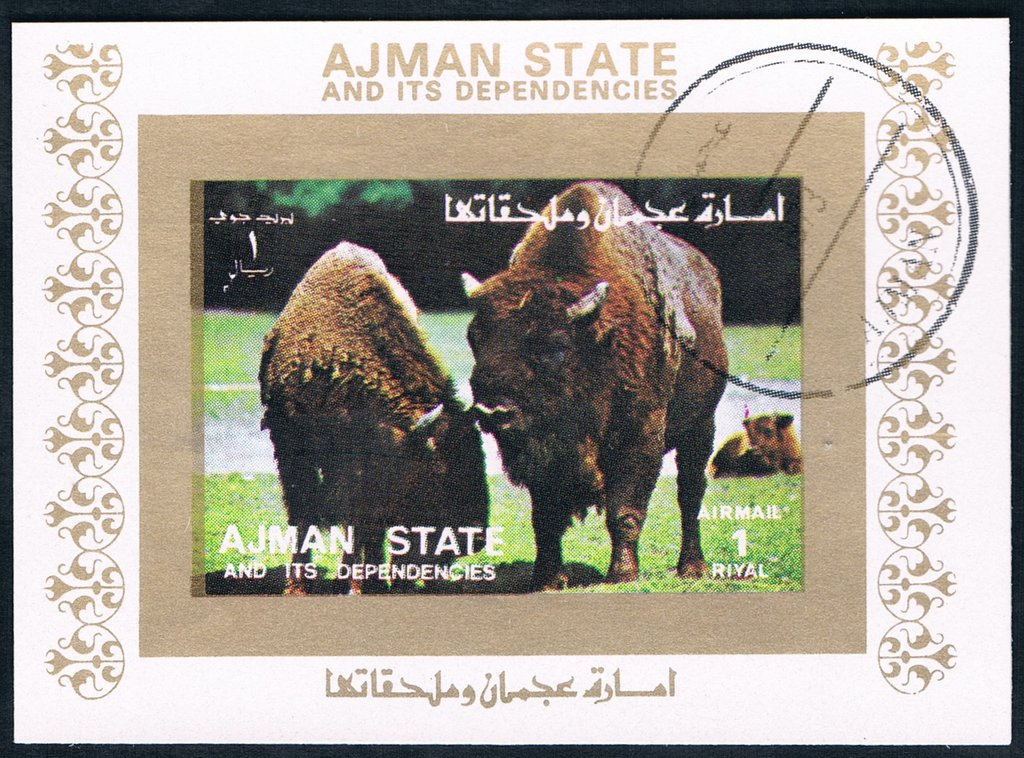 Bisons