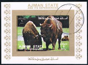 Souvenir Sheet, Bisons, Ajman,  , Mammals