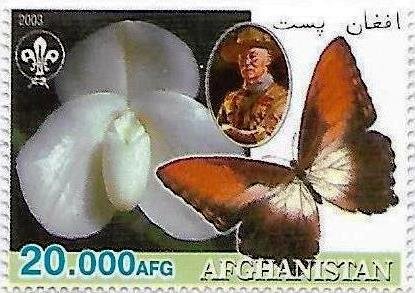 Butterfly and orchid