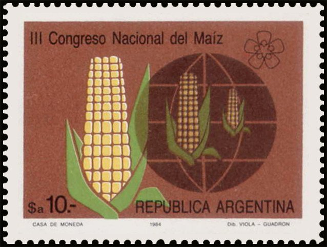 Maize