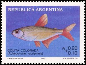 Stamp, Colita Colorada (Aphyocharax rubripinnis), Argentina,  , Animals (Fauna), Fishes