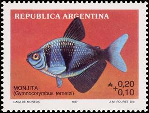 Stamp, Monjita (Gymnocorymbus ternetzi), Argentina,  , Animals (Fauna), Fishes