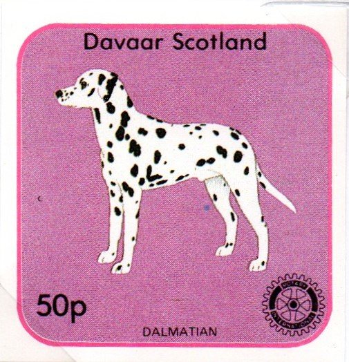 Dalmatian, Rotary International