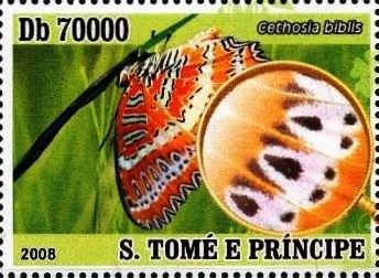 Cethosia biblis