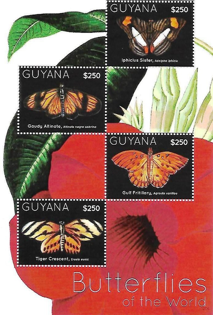 Butterflies of the World