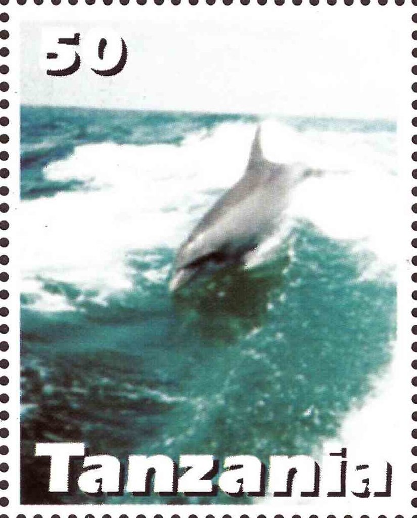 Dolphin