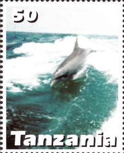 Stamp, Dolphin, Cinderellas,  , Animals (Fauna), Dolphins, Mammals, Sea Life