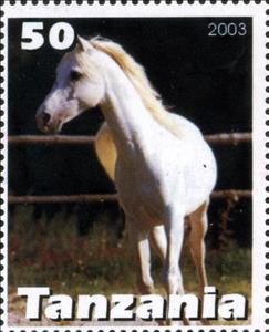 Stamp, Horse, Cinderellas,  , Animals (Fauna), Horses, Mammals