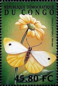 Stamp, Pieris rapae, Cinderellas,  , Animals (Fauna), Butterflies, Insects