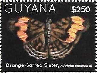 Stamp, Adelpha saundersil, Guyana,  , Animals (Fauna), Butterflies, Insects