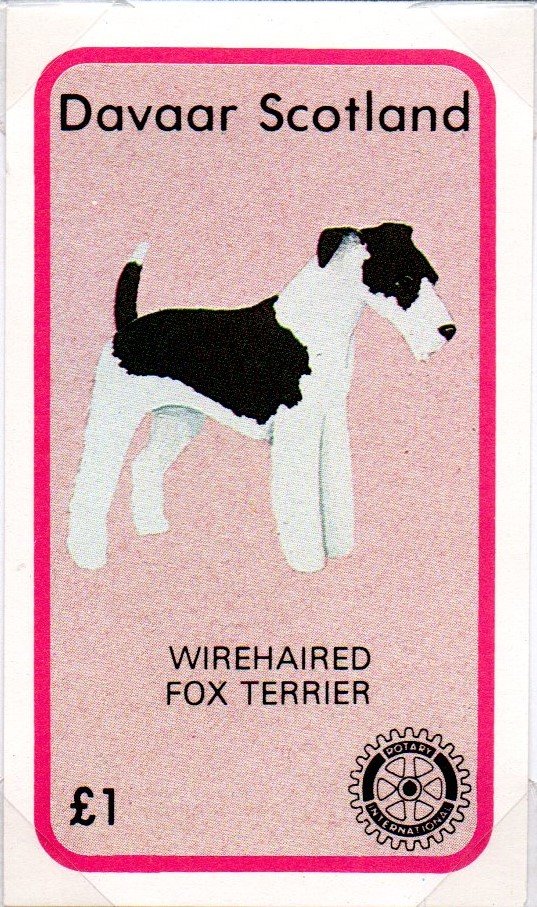 Wirehaired Fox Terrier, Rotary International
